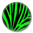 Animal Print Button Badge grünes Zebrafellmuster