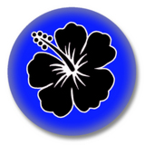 Hibiskus Button Badge / Ansteckbutton - Blau