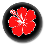 Roter Hibiskus Button Badge / Ansteckbutton